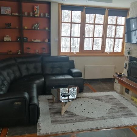 Vila Panic Златибор Экстерьер фото