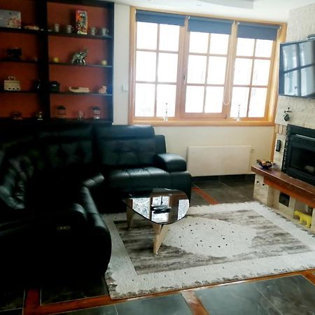 Vila Panic Златибор Экстерьер фото